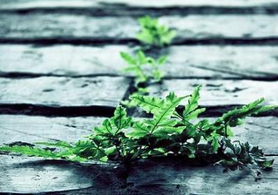 经典语录图片(合集70句)