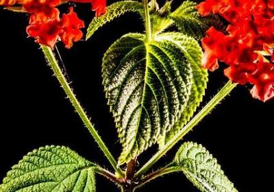 自欺欺人的经典语录(热门60句)