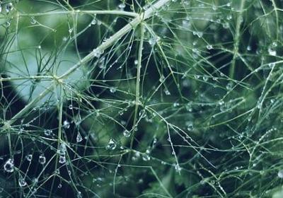 经典语录 搞笑(必备20句)