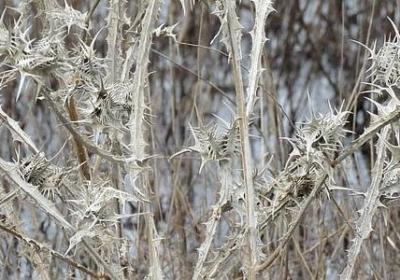 胜天半子经典语录(40句)