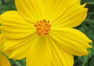 经典语录 英文(汇总62句)