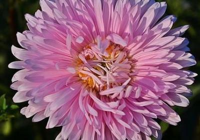 经营婚姻经典语录(通用60句)