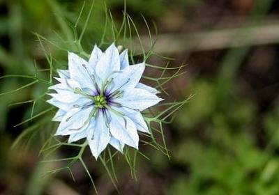 老人说的经典语录(合集40句)