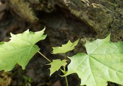 经典语录 社会(必备20句)