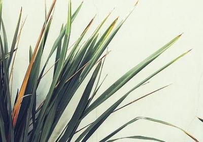 童年的秘密经典语录(实用50句)