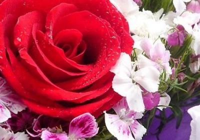 红与黑经典语录(50句)