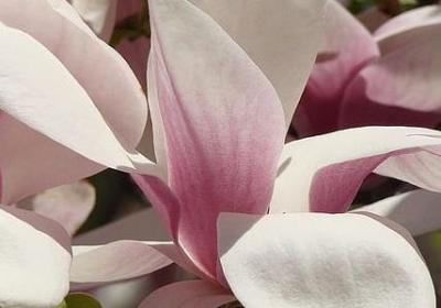 考研经典语录(合集80句)