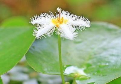 管好自己的嘴经典语录(合集50句)