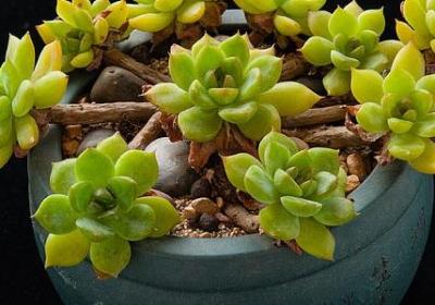 翻脸不认人的经典语录(推荐83句)