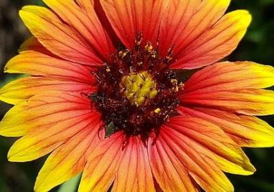 老舍经典语录(热门20句)