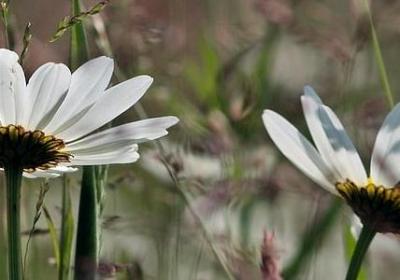 秦霄贤经典语录(实用77句)