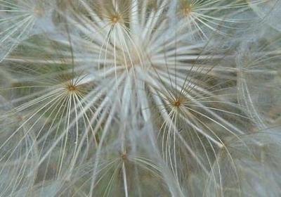 红酒的说说经典语录(推荐10句)