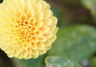 网文经典语录(优选50句)