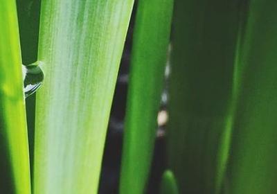 美团经典语录(热门90句)