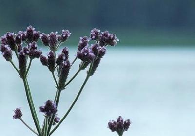 空之境界经典语录(实用20句)