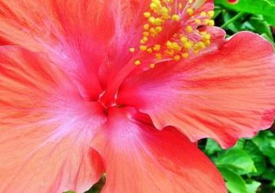 稻草人经典语录(优选60句)