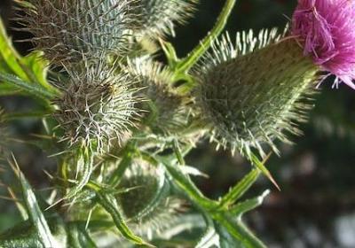 离别的经典语录(38句)