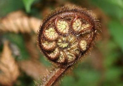 老人与海经典语录英文(实用20句)