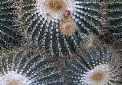 老梁说的最经典语录(热门49句)