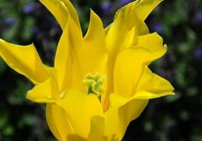 经典语录励志短句(通用10句)