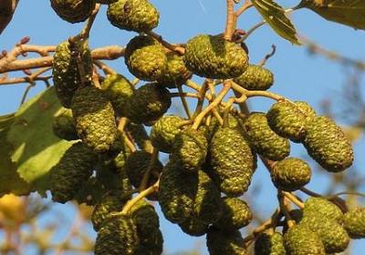 美食语录经典语录(优选20句)