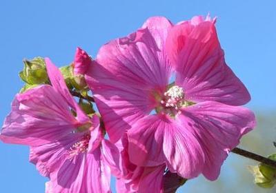 自从生了娃经典语录(通用50句)