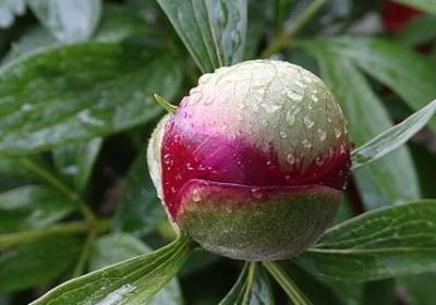 聊天经典语录(必备70句)