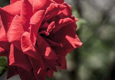 老子名句经典语录解析(40句)