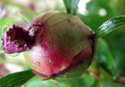 胡歌励志经典语录(实用60句)