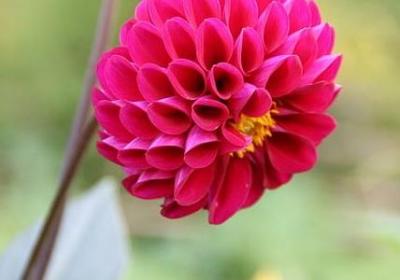 绝代双骄经典语录(热门40句)