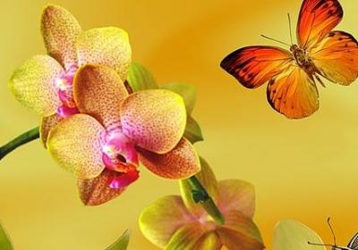 老梁经典语录(精选50句)