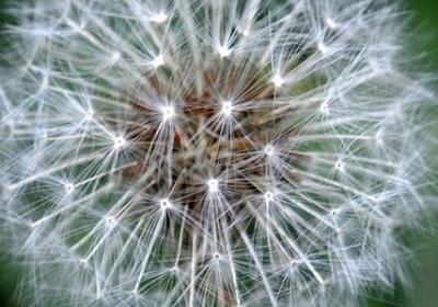 肖申克的救赎经典语录(实用40句)