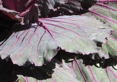 经典语录照片(热门70句)