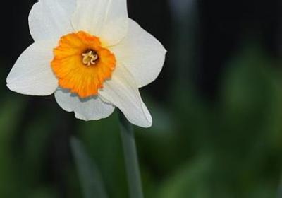 绿皮书经典语录(热门50句)