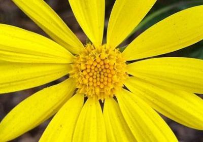 缘分经典语录(共45句)