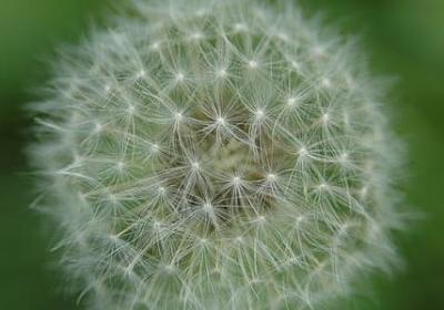 纪念日经典语录(精选20句)