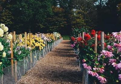 离职感言经典语录(合集70句)