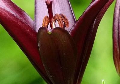 章鱼哥经典语录(热门50句)