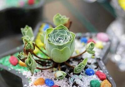 绝世武神经典语录(优选90句)