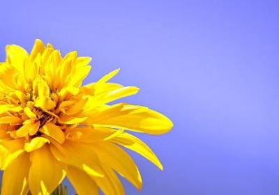 老师的经典语录(必备80句)