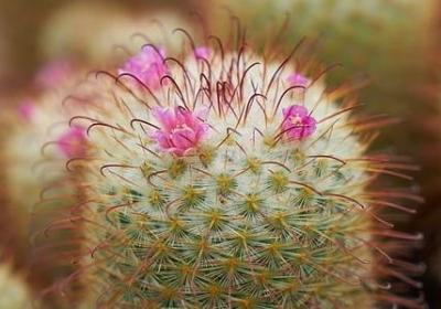 联盟经典语录(通用60句)