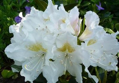 经典语录别从别人口中(精选65句)