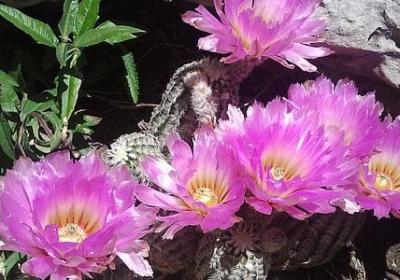 私人订制经典语录(合集80句)