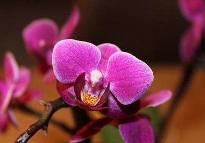 经典语录 励志短句子(热门80句)