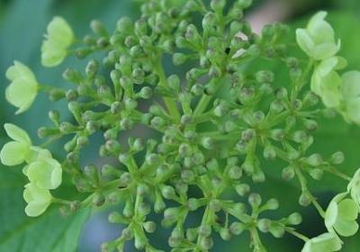 祝福儿子的经典语录(精选50句)