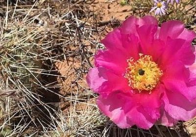 经典语录短视频(推荐89句)