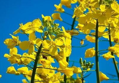 美少女战士的经典语录(合集70句)