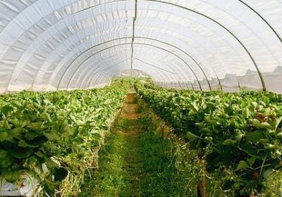 自卑与超越经典语录(实用14句)