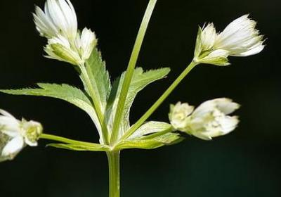 缘分的经典语录(实用70句)