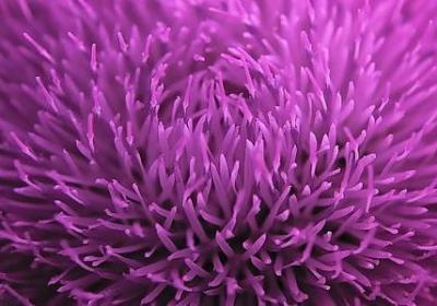 紫砂壶经典语录(推荐15句)